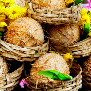 Bhagya Sooktha Archana (Kochu Guruvayoorappan)