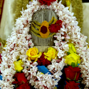 Pradosham Day – Mahanyasa Ekadasa Rudrabhishekam (Shiva)