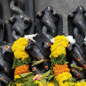 Naga Pooja 06:15am – 07:15am (Nagaraj)