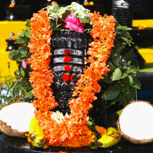 Nitya Pooja (Shiva)