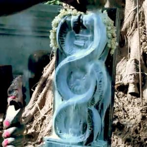 Pal Abhishekam (Nagaraj)