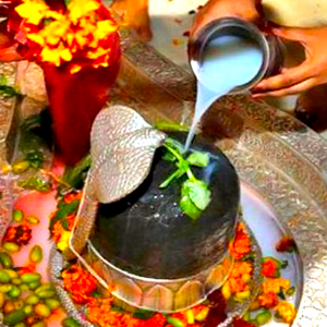 Pal Abhishekam with Archana (Shiva)