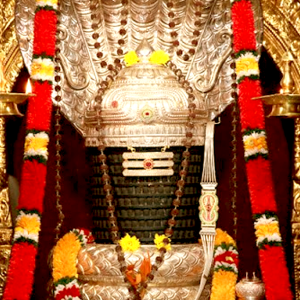 Alankara Seva with Silver Kavacham (Shiva)