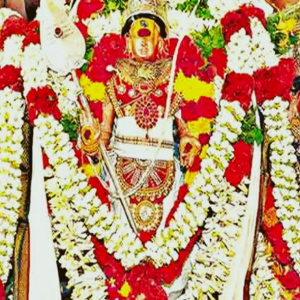 Thiru Kalyana Utsavam 21st Nov 2020 (Kartikeyan)